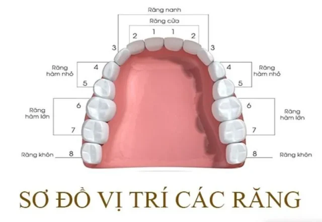 tác hại của việc nhổ răng số 4