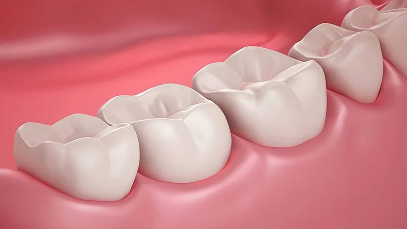 Cấu tạo và vai trò răng hàm số 6