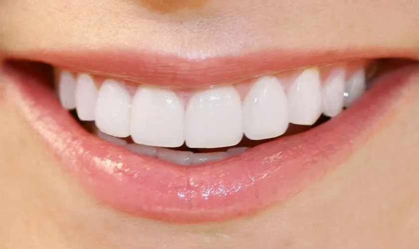 Hình dạng và cấu trúc của răng