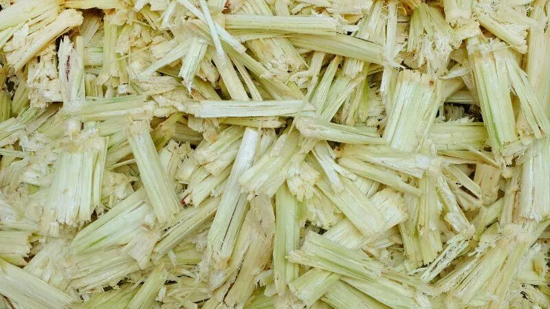 Dùng bã mía để làm sạch cao răng cứng đầu tại nhà
