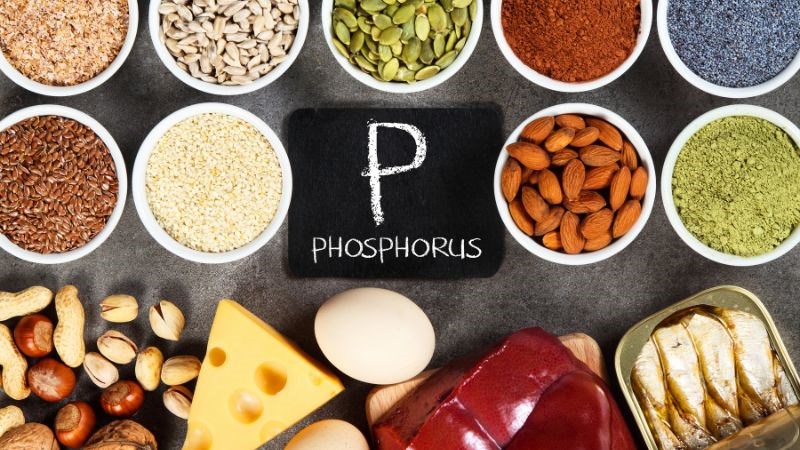 Chảy máu răng là thiếu chất gì – Bị thiếu hụt Phospho