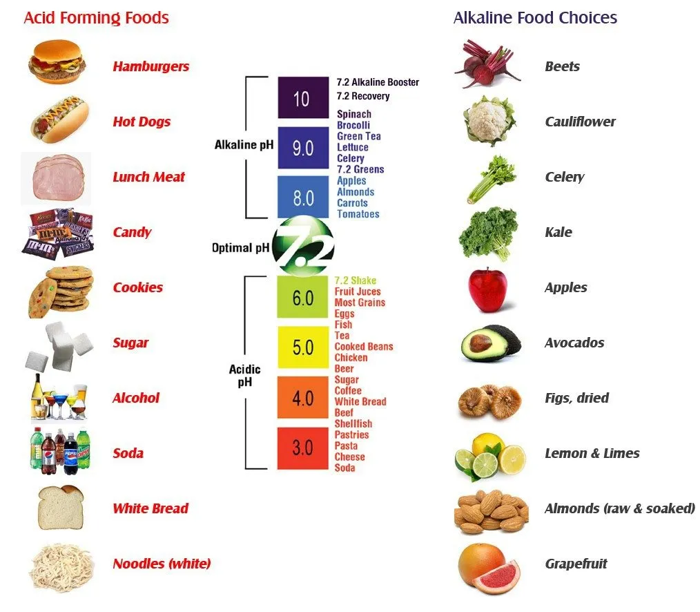 Thực phẩm và đồ uống có tính axit
