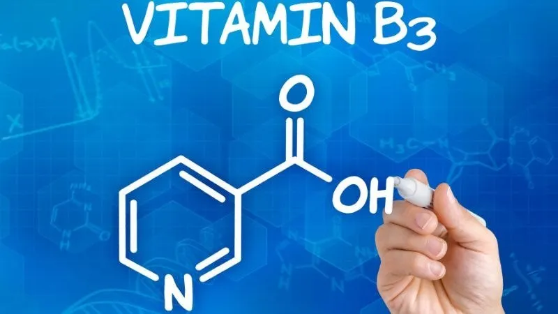 Vitamin B3 – Kiểm soát đường huyết và cầm máu
