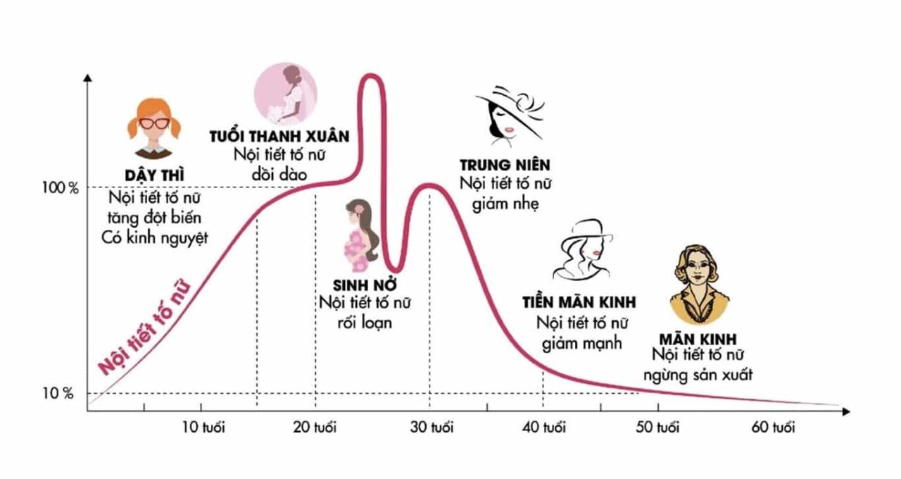 Biến động nội tiết tố và hormone trong thai kỳ