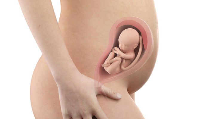 Giai đoạn 3 tháng giữa thai kỳ (tam cá nguyệt thứ hai)