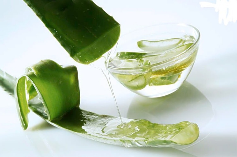Sử dụng gel nha đam tươi để bôi phần bị sâu răng