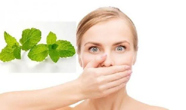 cac-tri-hoi-mieng-tư-ben-trong-2