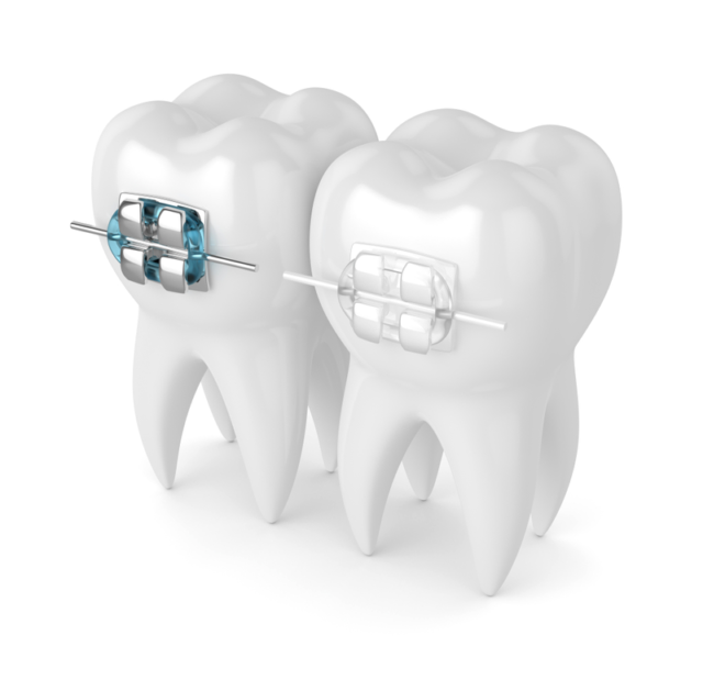 nieng-rang-mac-cai-pha-le-2