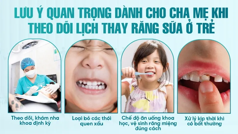 Răng hàm mấy tuổi thay